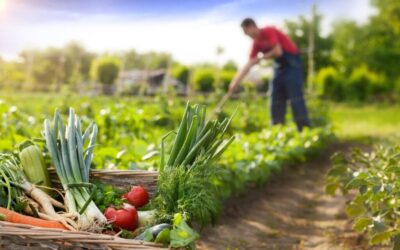 02 de julio: Día de la Agricultura Nacional