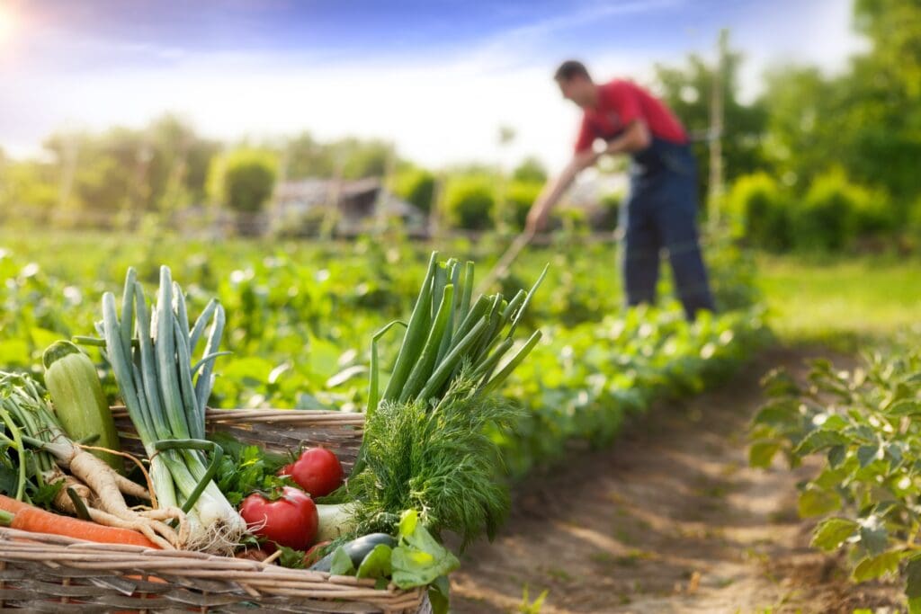 02 de julio: Día de la Agricultura Nacional