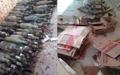 Primera recolección diferenciada de cartón y vidrio